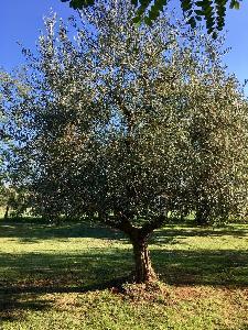 Adottata da Gabriella e Salvatore per la nascita del figlio Christian