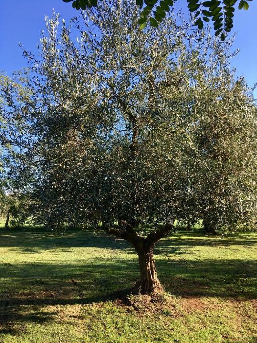 Adottata da Gabriella e Salvatore per la nascita del figlio Christian